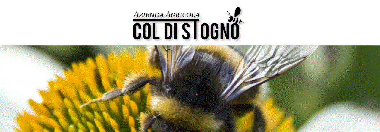 Azienda Agricola "COL DI STOGNO"